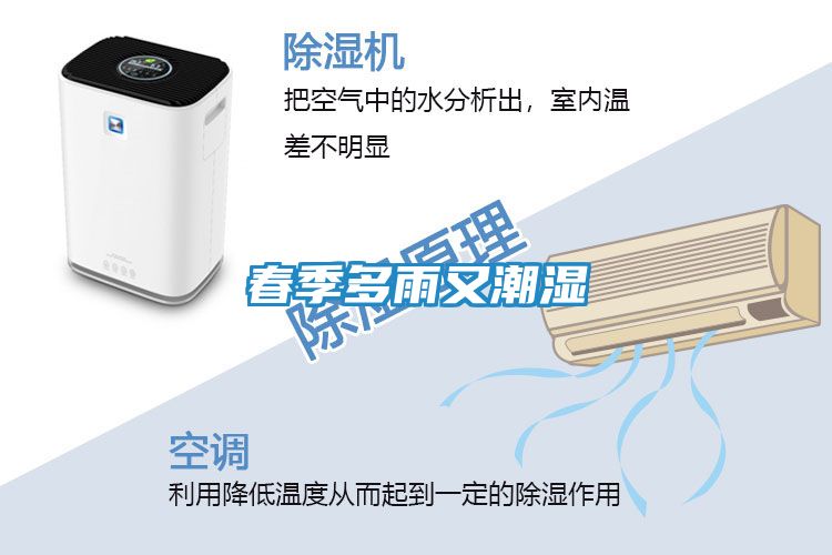 春季多雨又潮湿