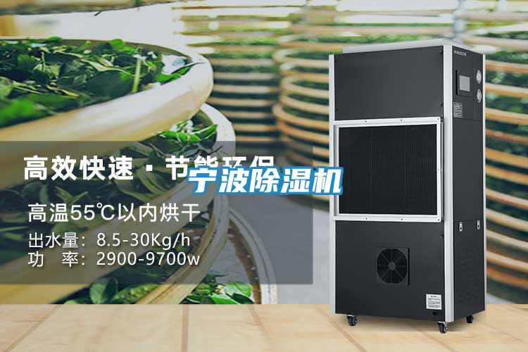 宁波除湿机
