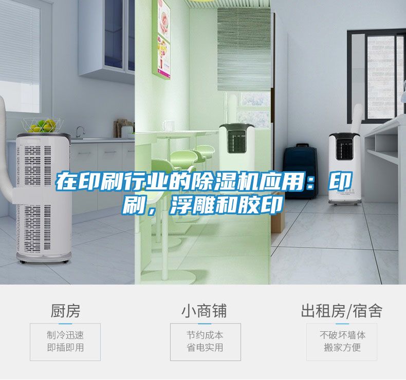在印刷行业的除湿机应用：印刷，浮雕和胶印