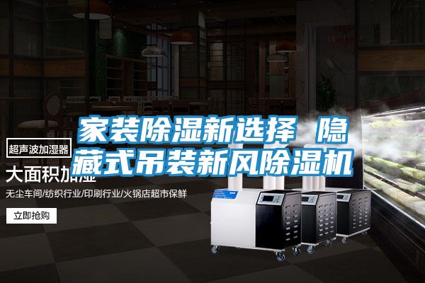 家装除湿新选择 隐藏式吊装新风除湿机