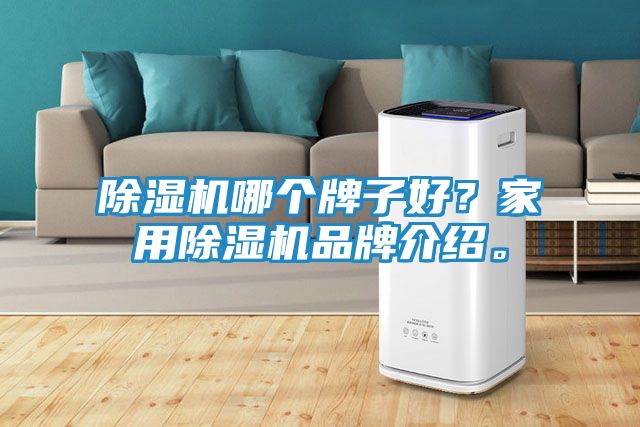 除湿机哪个牌子好？家用除湿机品牌介绍。