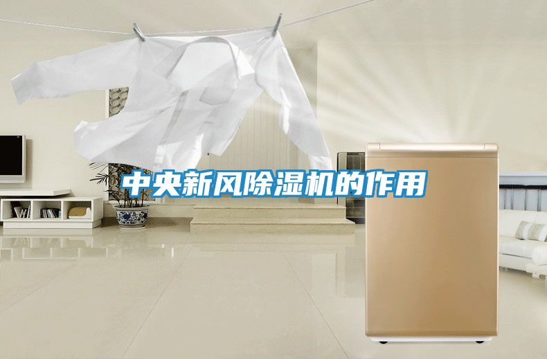中央新风除湿机的作用
