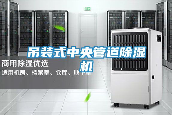 吊装式中央管道除湿机