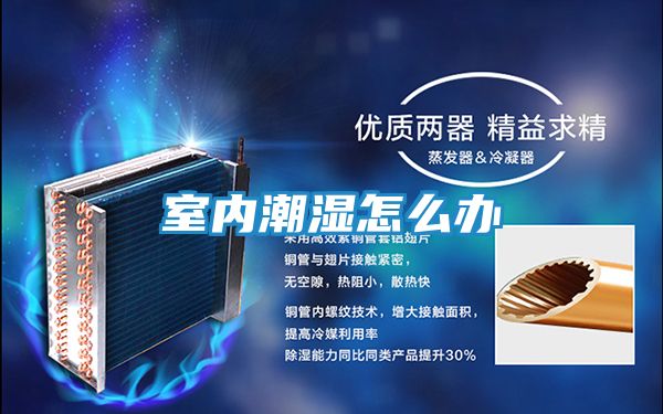 室内潮湿怎么办