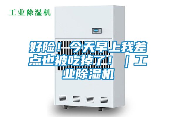 好险!今天早上我差点也被吃掉了!|工业除湿机