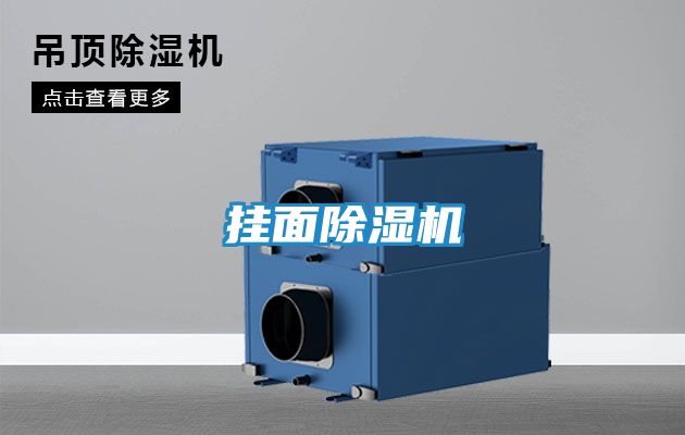 挂面除湿机