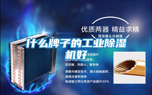 什么牌子的工业除湿机好