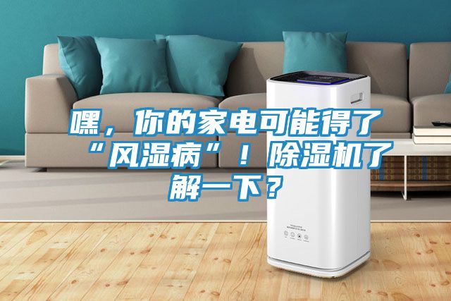 嘿，你的家电可能得了“风湿病”！除湿机了解一下？