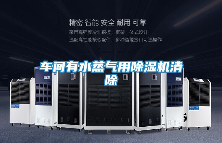 车间有水蒸气用除湿机清除