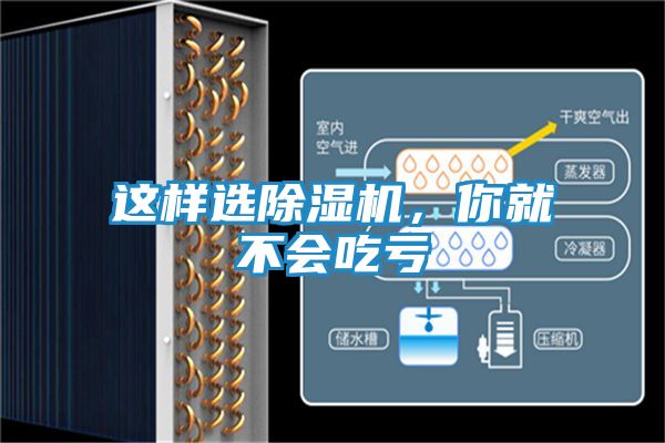 这样选除湿机，你就不会吃亏