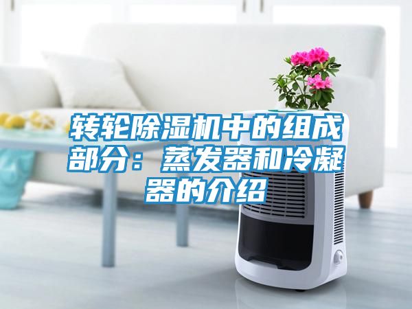 转轮除湿机中的组成部分：蒸发器和冷凝器的介绍