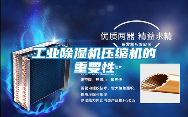 工业除湿机压缩机的重要性