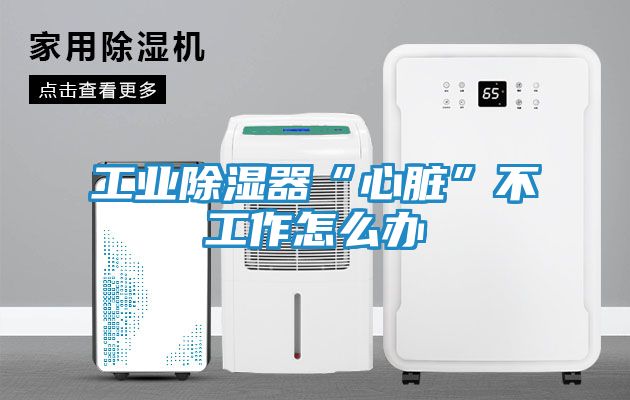 工业除湿器“心脏”不工作怎么办