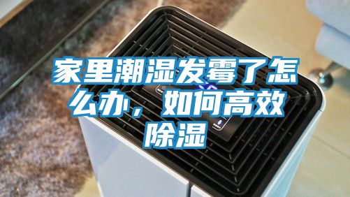 家里潮湿发霉了怎么办,如何高效除湿