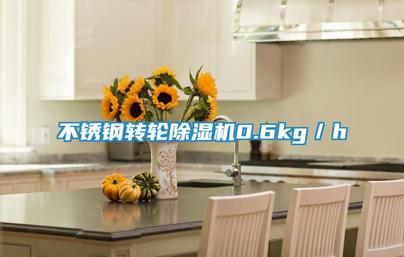 不锈钢转轮除湿机0.6kg／h