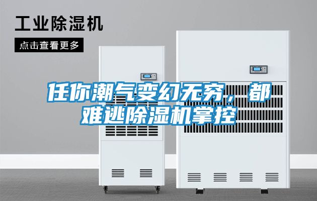 任你潮气变幻无穷,都难逃除湿机掌控