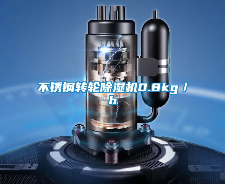 不锈钢转轮除湿机0.8kg／h