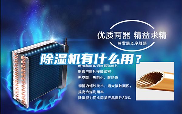 除湿机有什么用？