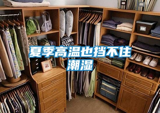 夏季高温也挡不住潮湿