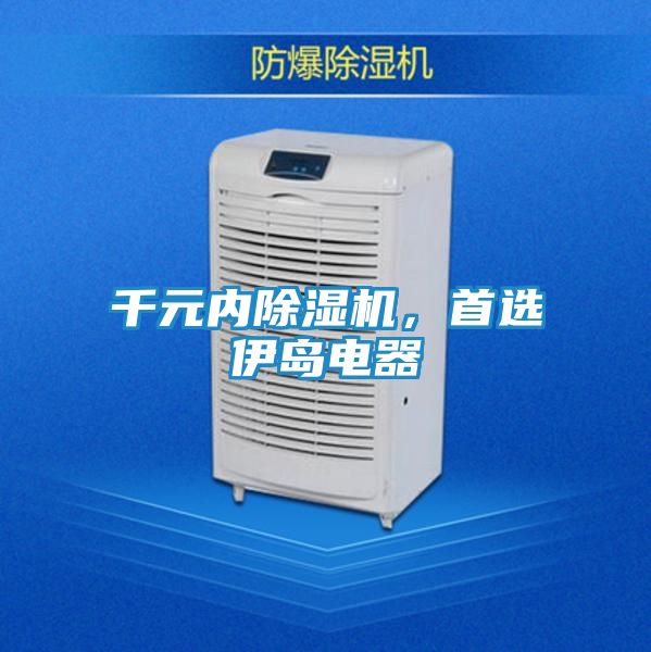 千元内除湿机,首选伊岛电器