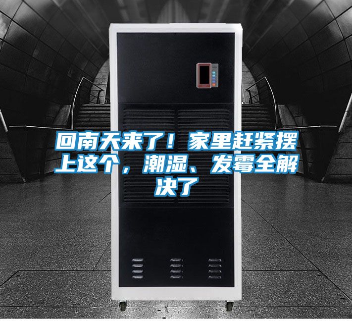 回南天来了！家里赶紧摆上这个，潮湿、发霉全解决了