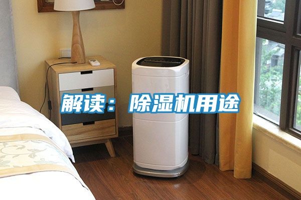 解读：除湿机用途