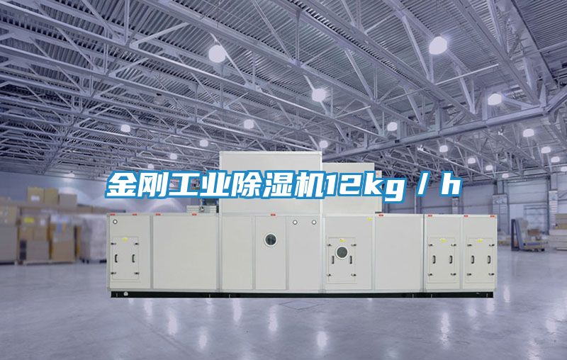 金刚工业除湿机12kg／h