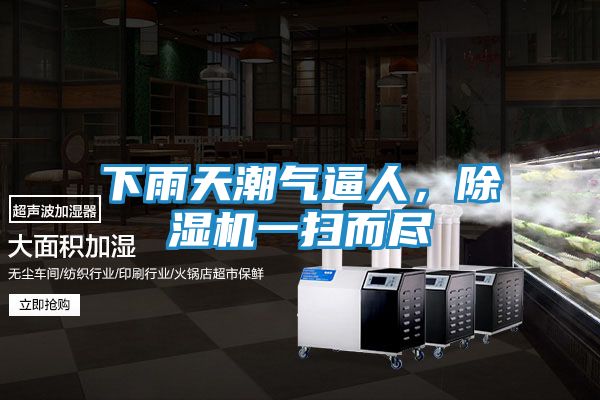 下雨天潮气逼人，除湿机一扫而尽