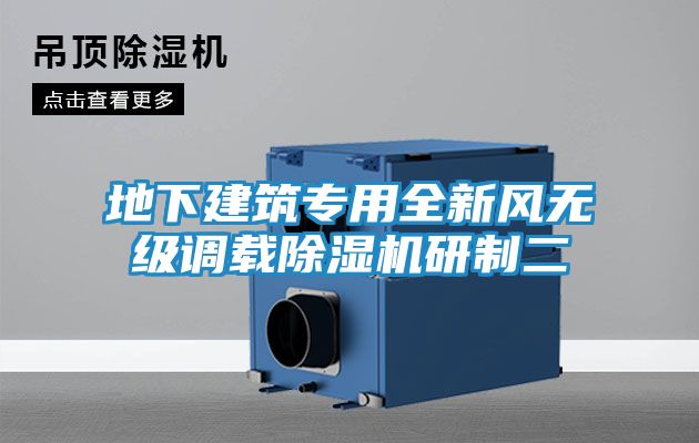 地下建筑专用全新风无级调载除湿机研制二