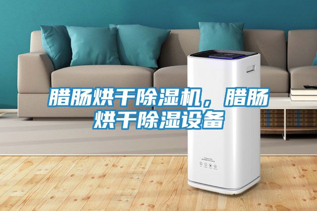 腊肠烘干除湿机，腊肠烘干除湿设备