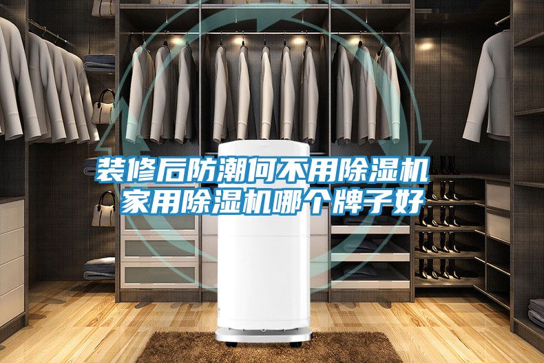 装修后防潮何不用除湿机 家用除湿机哪个牌子好