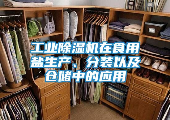 工业除湿机在食用盐生产、分装以及仓储中的应用