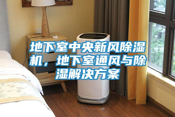 地下室中央新风除湿机，地下室通风与除湿解决方案