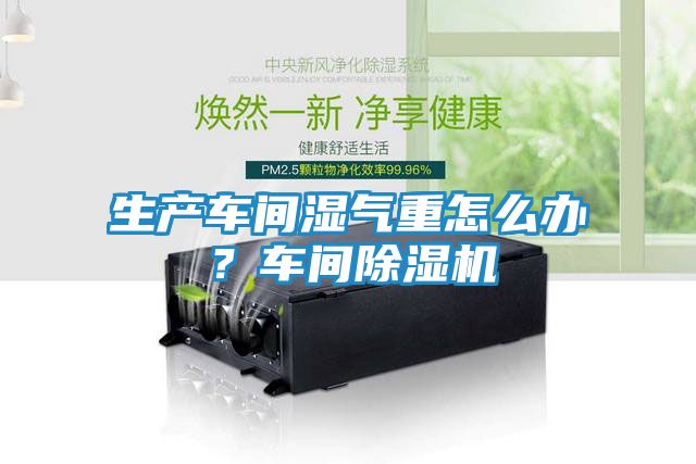生产车间湿气重怎么办？车间除湿机
