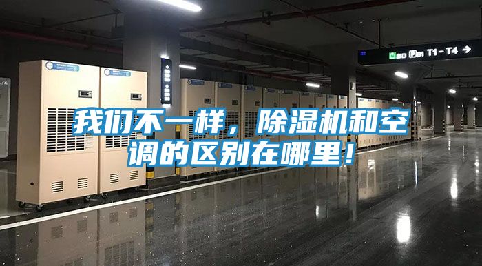 我们不一样，除湿机和空调的区别在哪里！