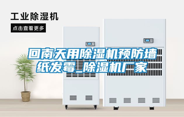 回南天用除湿机预防墙纸发霉_除湿机厂家
