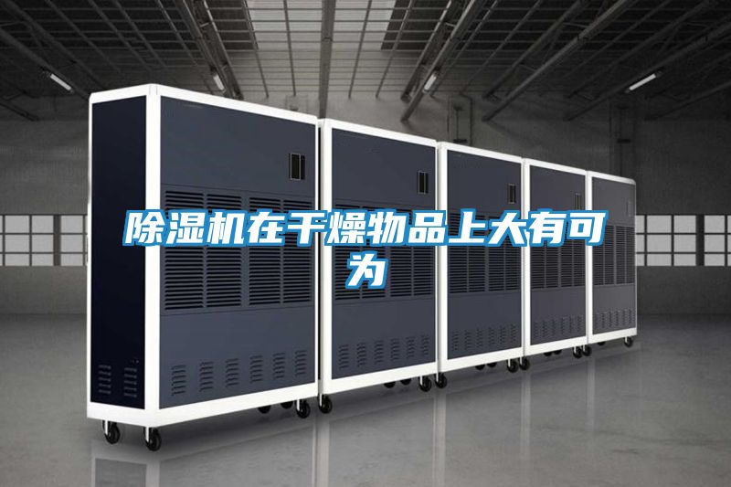 除湿机在干燥物品上大有可为