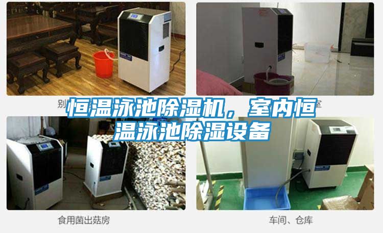 恒温泳池除湿机,室内恒温泳池除湿设备