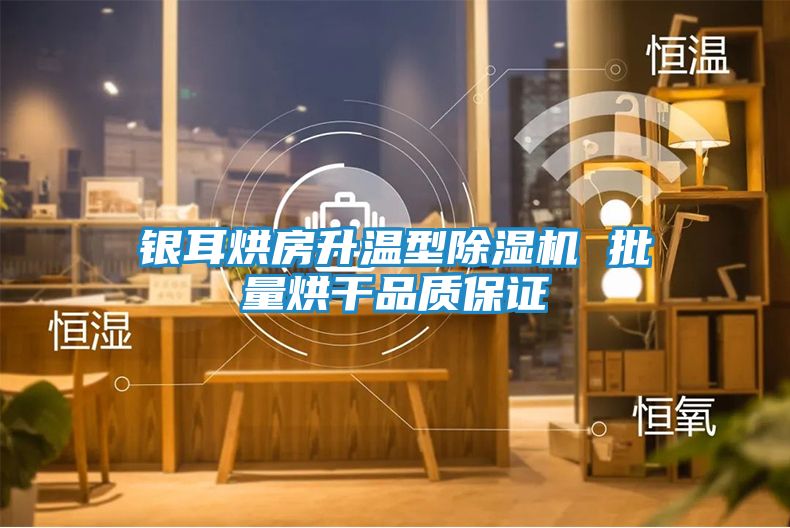银耳烘房升温型除湿机 批量烘干品质保证