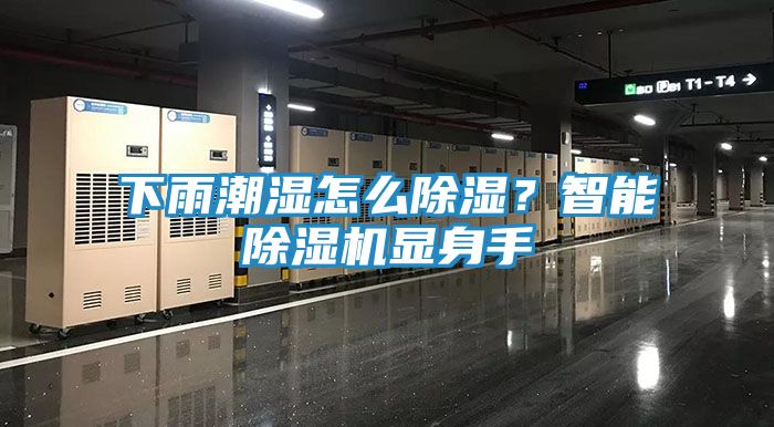 下雨潮湿怎么除湿？智能除湿机显身手