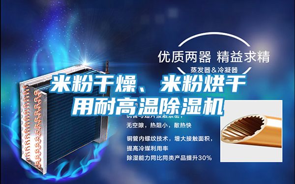 米粉干燥、米粉烘干用耐高温除湿机