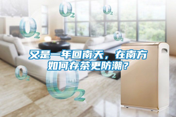 又是一年回南天，在南方如何存茶更防潮？