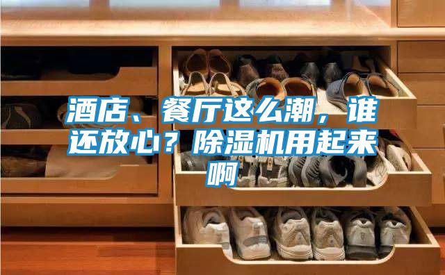 酒店、餐厅这么潮，谁还放心？除湿机用起来啊