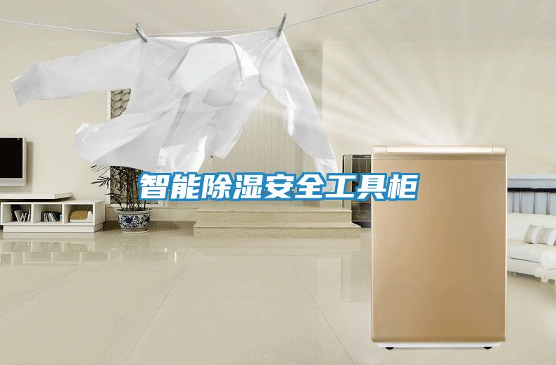 智能除湿安全工具柜