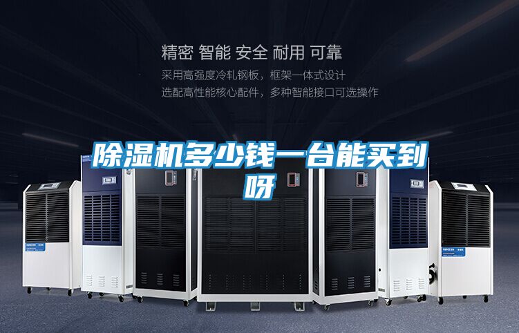 除湿机多少钱一台能买到呀