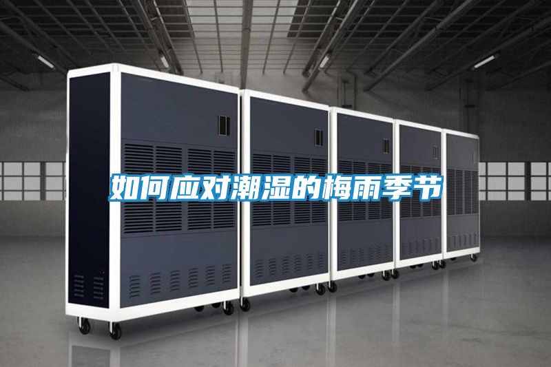 如何应对潮湿的梅雨季节