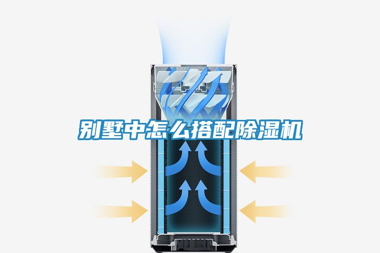 别墅中怎么搭配除湿机