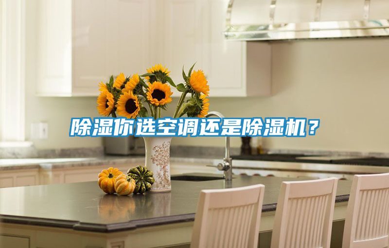 除湿你选空调还是除湿机？