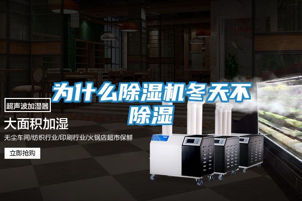 为什么除湿机冬天不除湿