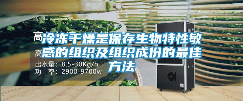 冷冻干燥是保存生物特性敏感的组织及组织成份的最佳方法